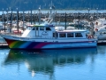 Rainbow Connection Tour Boat at Seldovia