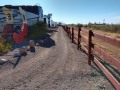 Boot Hill RV Resort - Pet Walk