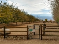 Boulder Creek RV Pet Run