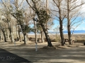 Boulder Creek RV Park Sites