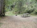 Campsite at Bullards Beach State Park