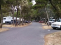 Campsites at Bullards Beach State Park