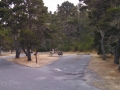 Campsites at Bullards Beach State Park