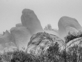 Silent Valley Club - Foggy Boulders