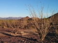 Quartzsite-Dry-Camp-2