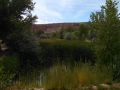 Cadillac-Ranch-Pond