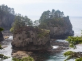 Rugged coast at Cape Flattery