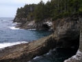 Rugged coast at Cape Flattery