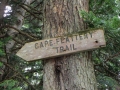 Cape Flattery Trail