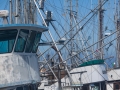 Neah Bay Boats