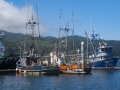 Fishing craft in port at Neah Bay