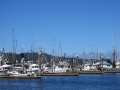 Fishing craft in port at Neah Bay