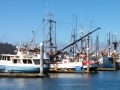 Fishing craft in port at Neah Bay