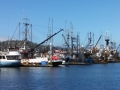 Fishing craft in port at Neah Bay