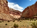 Capitol-Reef-Grand-Gulch