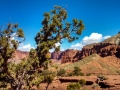 Capitol-Reef-Panorama-Point-1