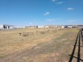 Cheyenne KOA - Tent Sites