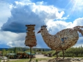 Chicken Gold Camp - That Chicken & Signpost