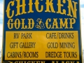 Chicken Gold Camp - Sign