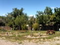 Cottonwood-RV-Park-Back-In-Sites