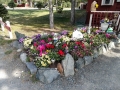 Cottonwood RV Park - Flower Beds