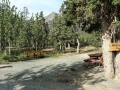 Cottonwood RV Park - Horseshoe Pit