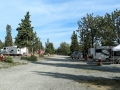 Cottonwood RV Park - Sites