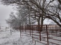Crossroads Ranch - April - Early Spring Snow Storm