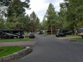 Crown Villa RV Resort - Sites