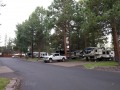 Crown Villa RV Resort - Sites