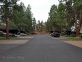 Crown Villa RV Resort - Sites