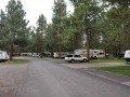 Crown Villa RV Resort - Sites