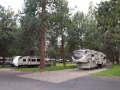 Crown Villa RV Resort - Sites