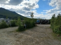 Denali RV Park - Sites