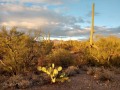 Desert Trails RV Park - Desert View