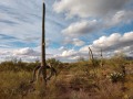 Desert Trails RV Park - Desert View