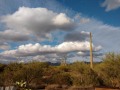 Desert Trails RV Park - Desert View