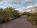 Desert Trails RV Park - Lanes