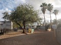 Desert Trails RV Park - Pet Run