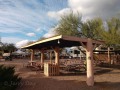 Desert Trails RV Park - Picnic Area