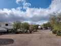 Desert Trails RV Park - Sites