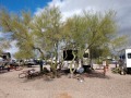 Desert Trails RV Park - Sites