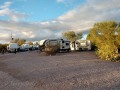 Desert Trails RV Park - Sites