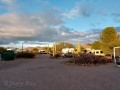 Desert Trails RV Park - Sites