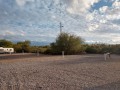 Desert Trails RV Park - Sites