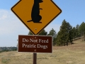 Don't Feed the Prairie Dogs! Devils Tower Prairie Dog Town