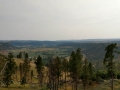 Devils Tower View