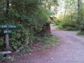 Dow Creek RV Resort Nature Trail