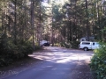 Dow Creek RV Resort Sites