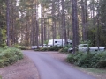 Dow Creek RV Resort Sites